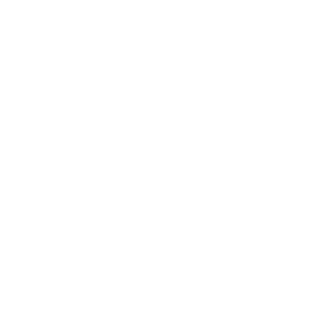 Białę logo agencji boosters
